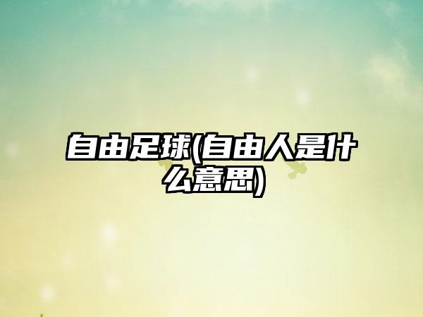 自由足球(自由人是什么意思)