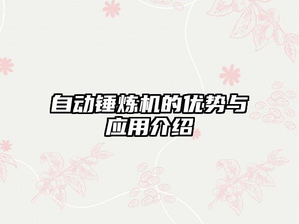 自动锤炼机的优势与应用介绍
