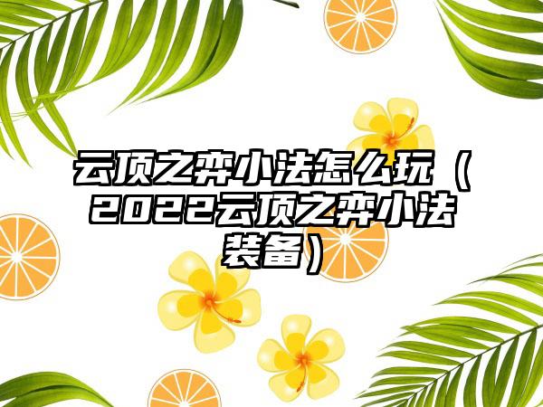 云顶之弈小法怎么玩（2022云顶之弈小法装备）