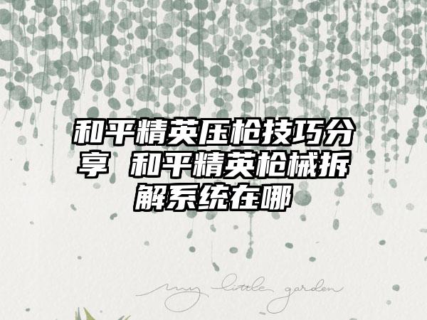 和平精英压枪技巧分享 和平精英枪械拆解系统在哪