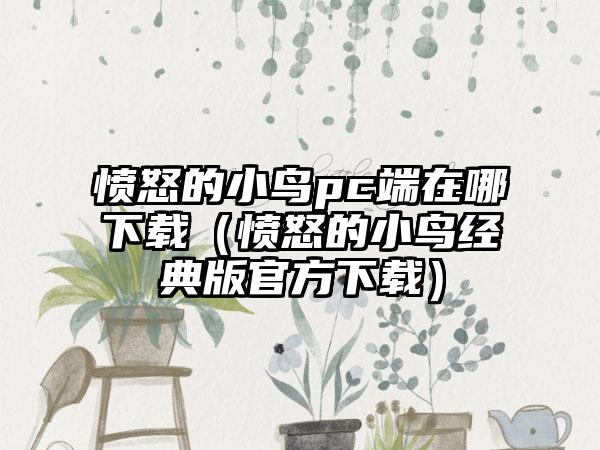 愤怒的小鸟pc端在哪（愤怒的小鸟经典版官方）