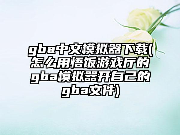 gba中文模拟器(怎么用悟饭游戏厅的gba模拟器开自己的gba文件)