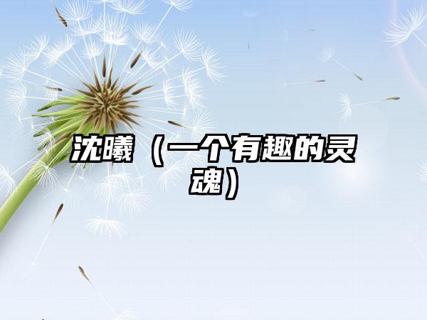 沈曦（一个有趣的灵魂）