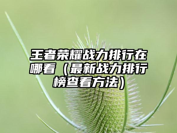 王者荣耀战力排行在哪看（最新战力排行榜查看方法）