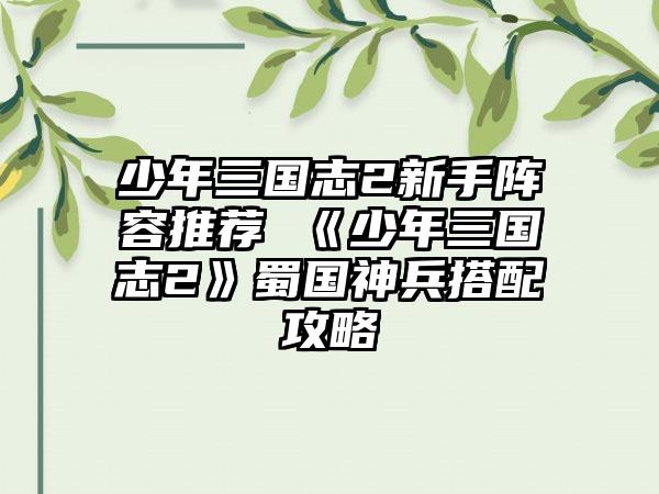 少年三国志2新手阵容推荐 《少年三国志2》蜀国神兵搭配攻略