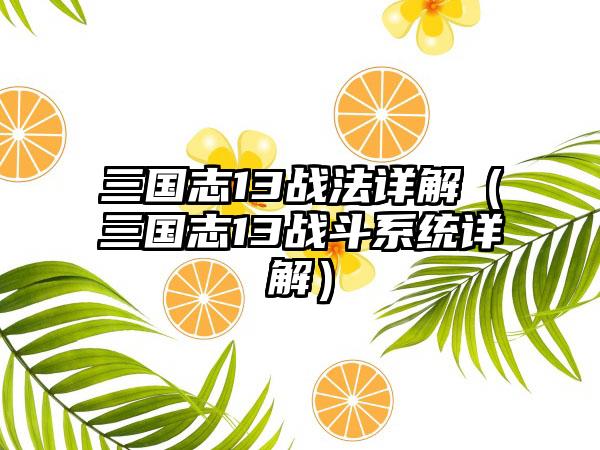 三国志13战法详解（三国志13战斗系统详解）