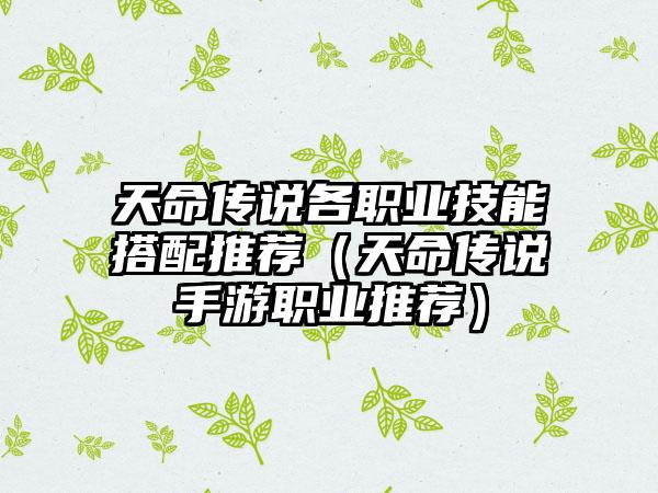 天命传说各职业技能搭配推荐（天命传说手游职业推荐）