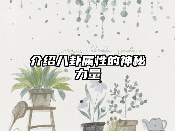 介绍八卦属性的神秘力量