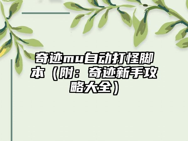 奇迹mu自动打怪脚本（附：奇迹新手攻略大全）