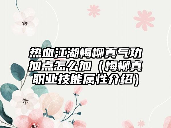 热血江湖梅柳真气功加点怎么加（梅柳真职业技能属性介绍）