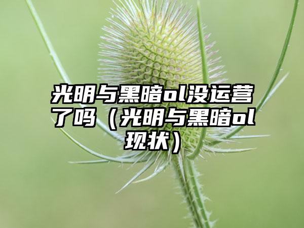 光明与黑暗ol没运营了吗（光明与黑暗ol现状）