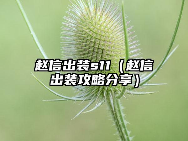 赵信出装s11（赵信出装攻略分享）