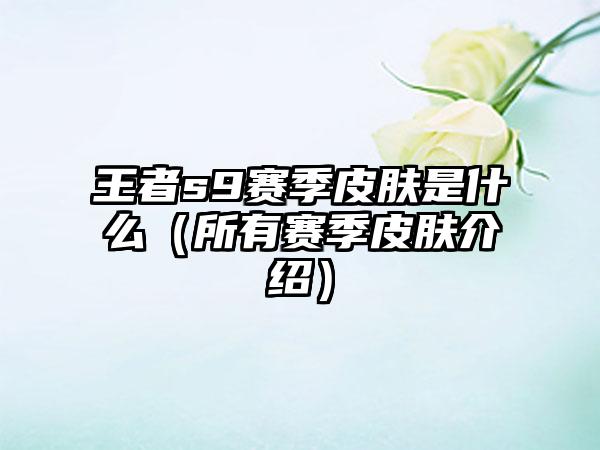 王者s9赛季皮肤是什么（所有赛季皮肤介绍）