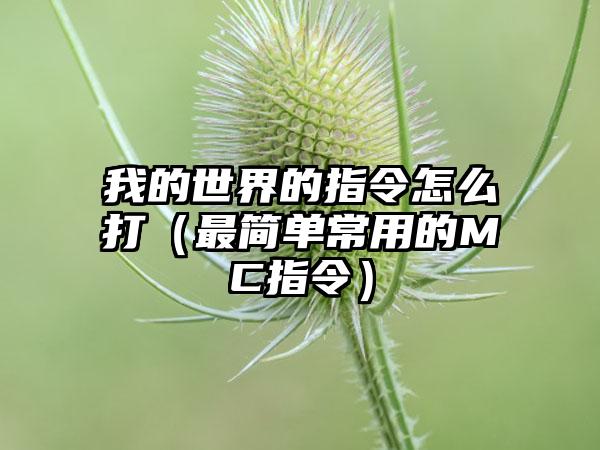 我的世界的指令怎么打（最简单常用的MC指令）
