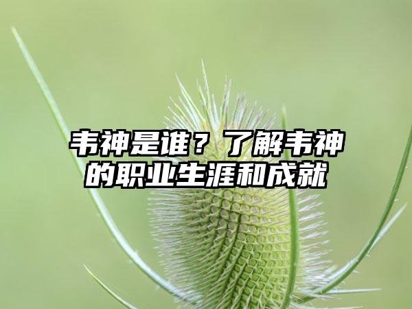 韦神是谁？了解韦神的职业生涯和成就