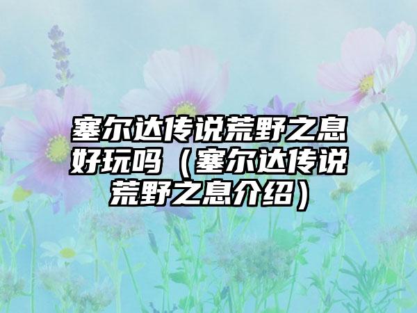 塞尔达传说荒野之息好玩吗（塞尔达传说荒野之息介绍）