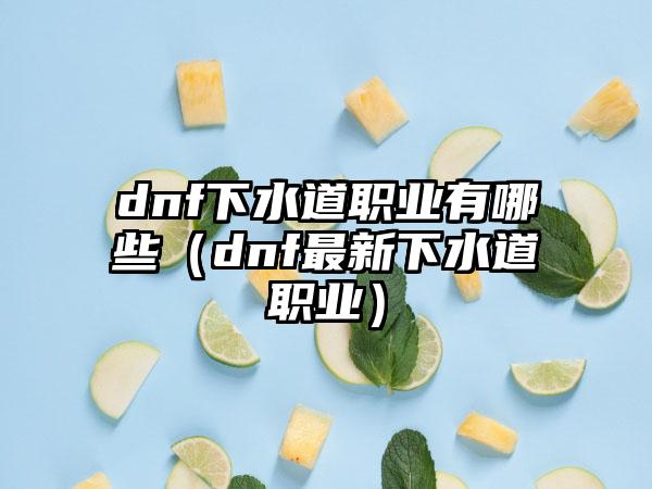 dnf下水道职业有哪些（dnf最新下水道职业）