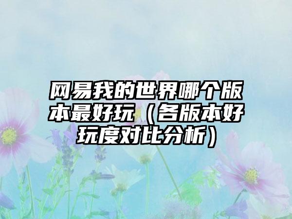 网易我的世界哪个版本最好玩（各版本好玩度对比分析）