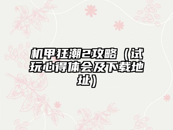 机甲狂潮2攻略（试玩心得体会及地址）