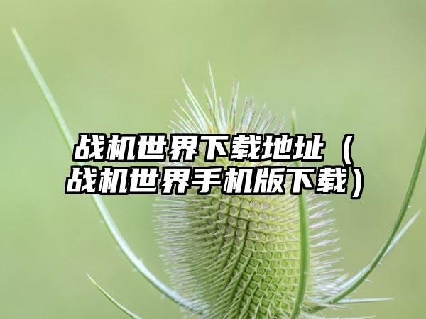 战机世界地址（战机世界手机版）