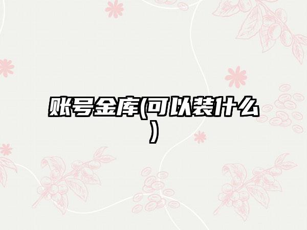 账号金库(可以装什么)