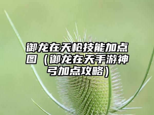 御龙在天枪技能加点图（御龙在天手游神弓加点攻略）