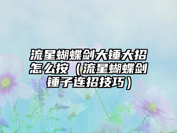 流星蝴蝶剑大锤大招怎么按（流星蝴蝶剑锤子连招技巧）