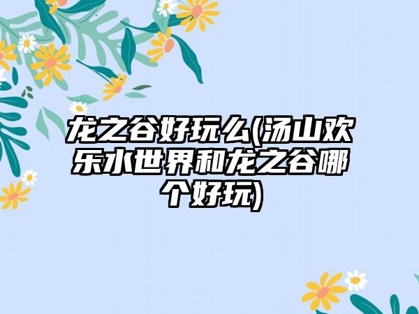 龙之谷好玩么(汤山欢乐水世界和龙之谷哪个好玩)