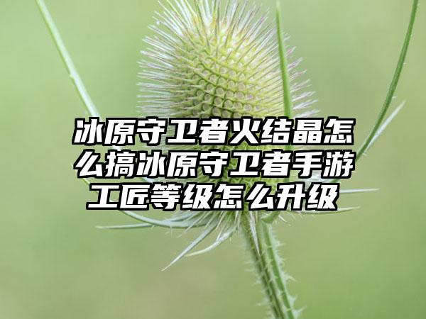 冰原守卫者火结晶怎么搞冰原守卫者手游工匠等级怎么升级
