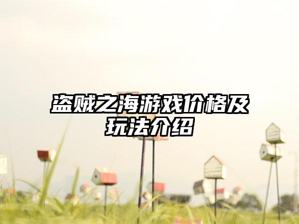 盗贼之海游戏价格及玩法介绍
