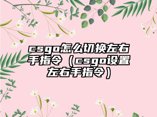 csgo怎么切换左右手指令（csgo设置左右手指令）