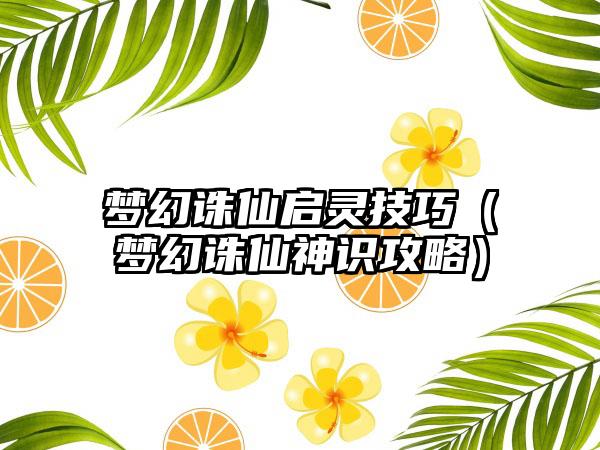 梦幻诛仙启灵技巧（梦幻诛仙神识攻略）