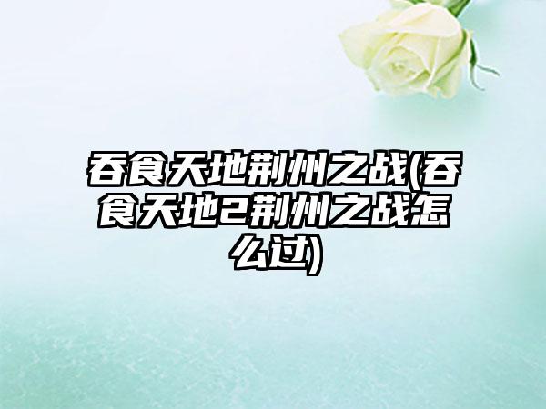 吞食天地荆州之战(吞食天地2荆州之战怎么过)