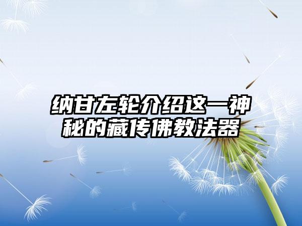 纳甘左轮介绍这一神秘的藏传佛教法器
