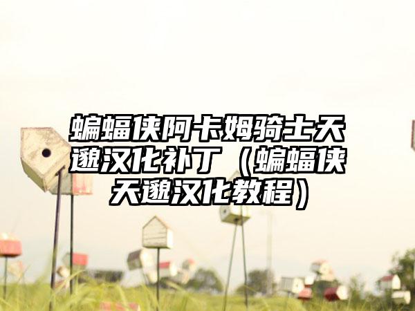 蝙蝠侠阿卡姆骑士天邈汉化补丁（蝙蝠侠天邈汉化教程）