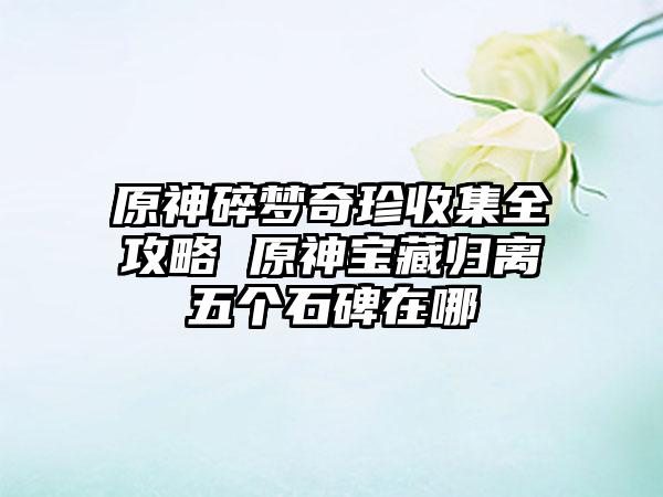 原神碎梦奇珍收集全攻略 原神宝藏归离五个石碑在哪