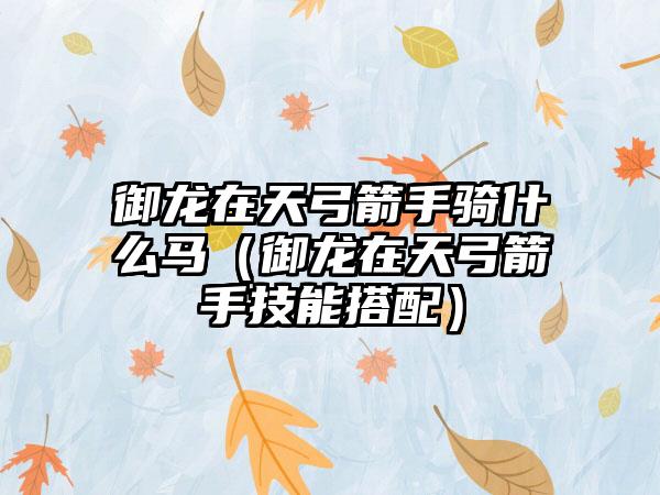 御龙在天弓箭手骑什么马（御龙在天弓箭手技能搭配）