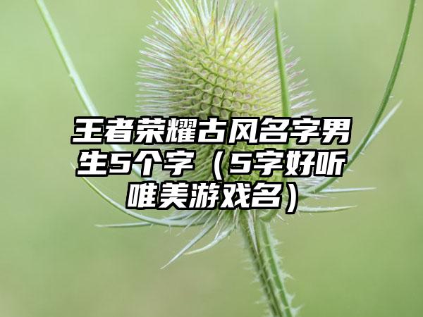 王者荣耀古风名字男生5个字（5字好听唯美游戏名）
