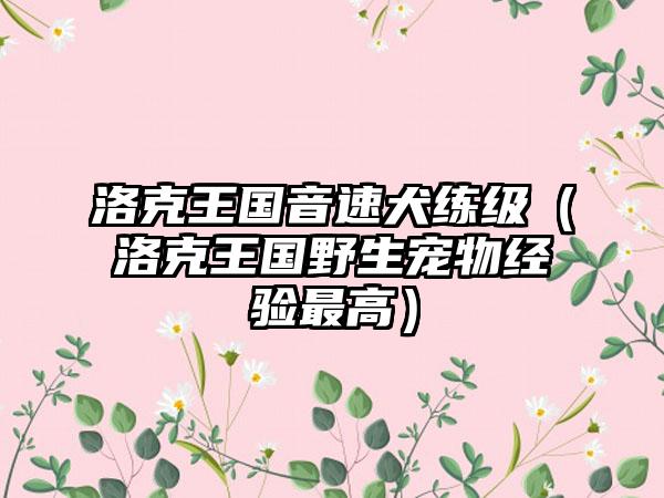 洛克王国音速犬练级（洛克王国野生宠物经验最高）