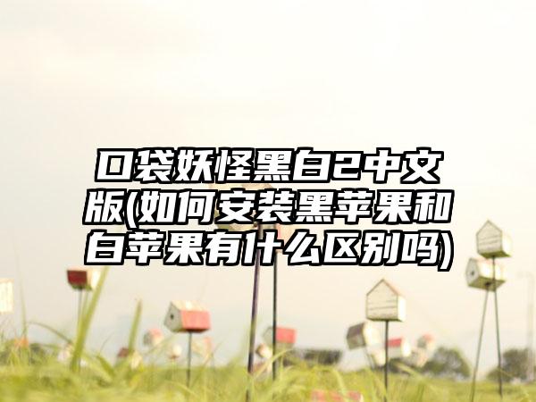 口袋妖怪黑白2中文版(如何安装黑苹果和白苹果有什么区别吗)