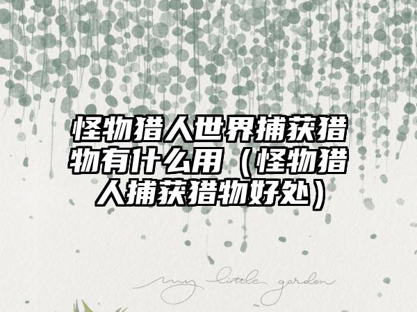 怪物猎人世界捕获猎物有什么用（怪物猎人捕获猎物好处）