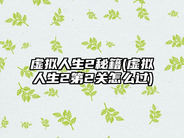 虚拟人生2秘籍(虚拟人生2第2关怎么过)