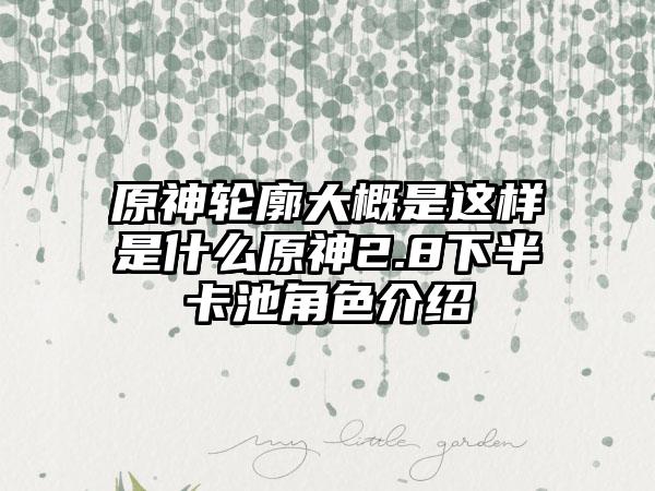 原神轮廓大概是这样是什么原神2.8下半卡池角色介绍