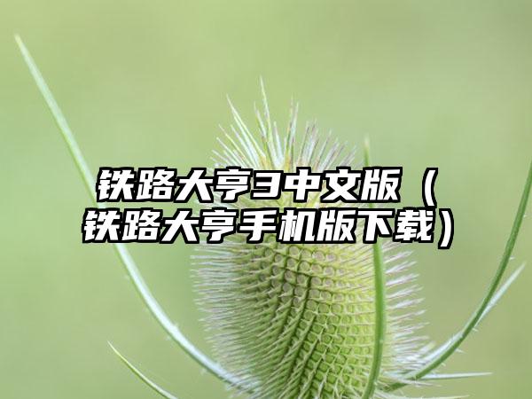 铁路大亨3中文版（铁路大亨手机版）