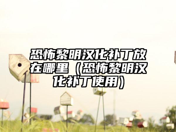 恐怖黎明汉化补丁放在哪里（恐怖黎明汉化补丁使用）