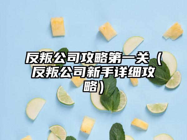 反叛公司攻略第一关（反叛公司新手详细攻略）