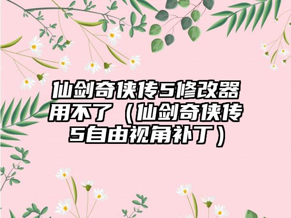 仙剑奇侠传5修改器用不了（仙剑奇侠传5自由视角补丁）