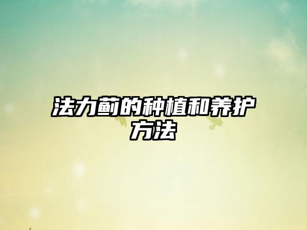 法力蓟的种植和养护方法