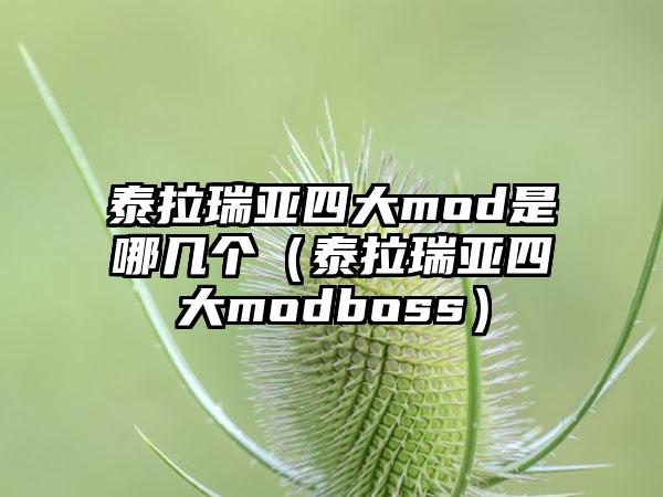 泰拉瑞亚四大mod是哪几个（泰拉瑞亚四大modboss）