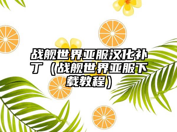 战舰世界亚服汉化补丁（战舰世界亚服教程）